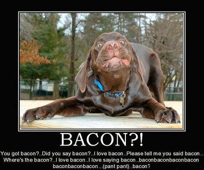 good dog.jpg (58.93 KiB) Viewed 102612 times good dog.jpg