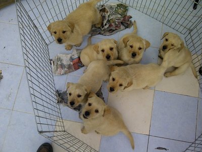 image.jpg (257.84 KiB) Viewed 142119 times image.jpg