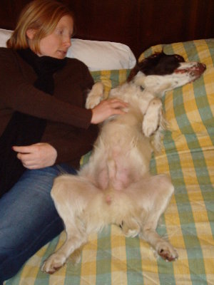 Who`s the Daddy..JPG (1.62 MiB) Viewed 12492 times Who`s the Daddy..JPG