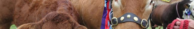 Royal Berkshire Show