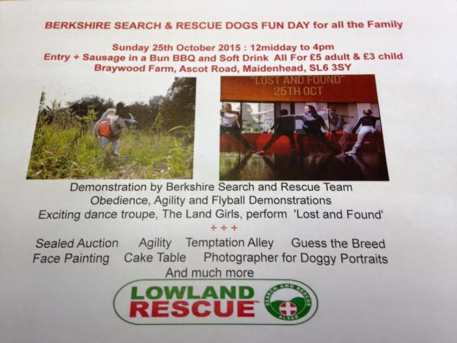 Doggy Fun Day