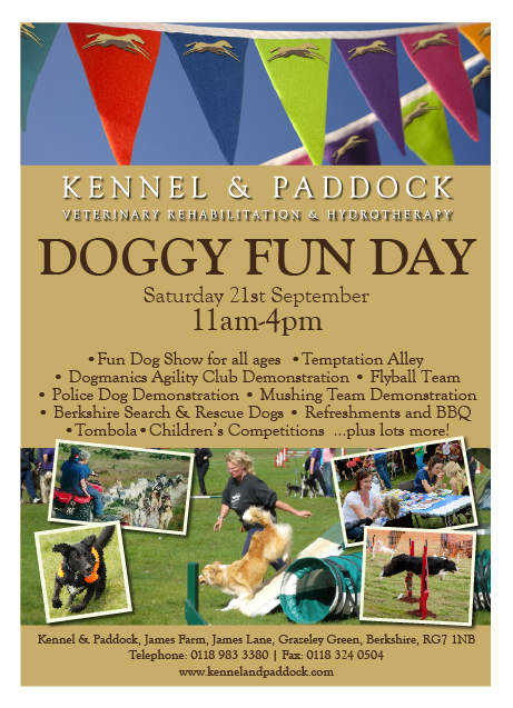 Kennel & Paddock Doggy Fun Day